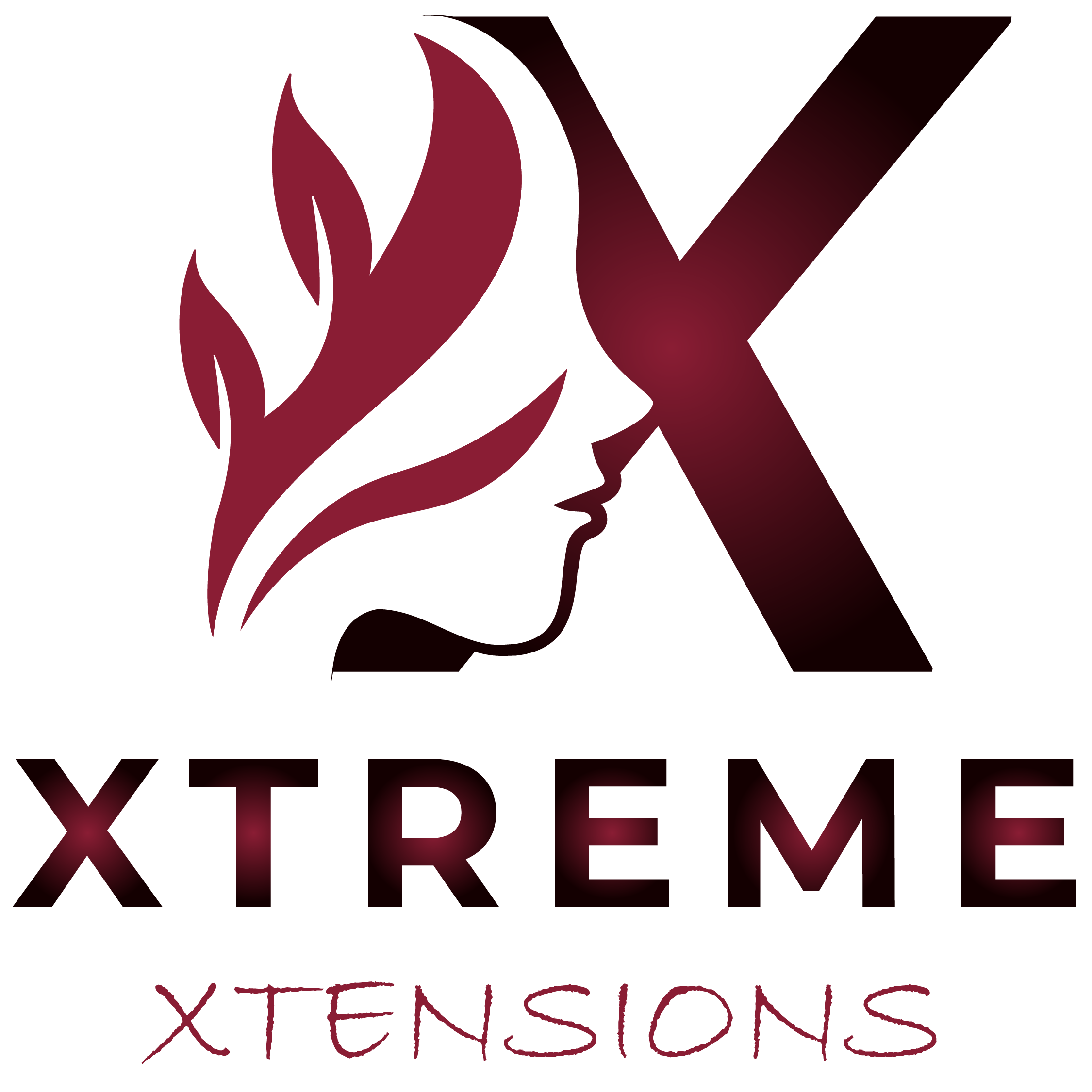 xtreme xtensions logo visiniu